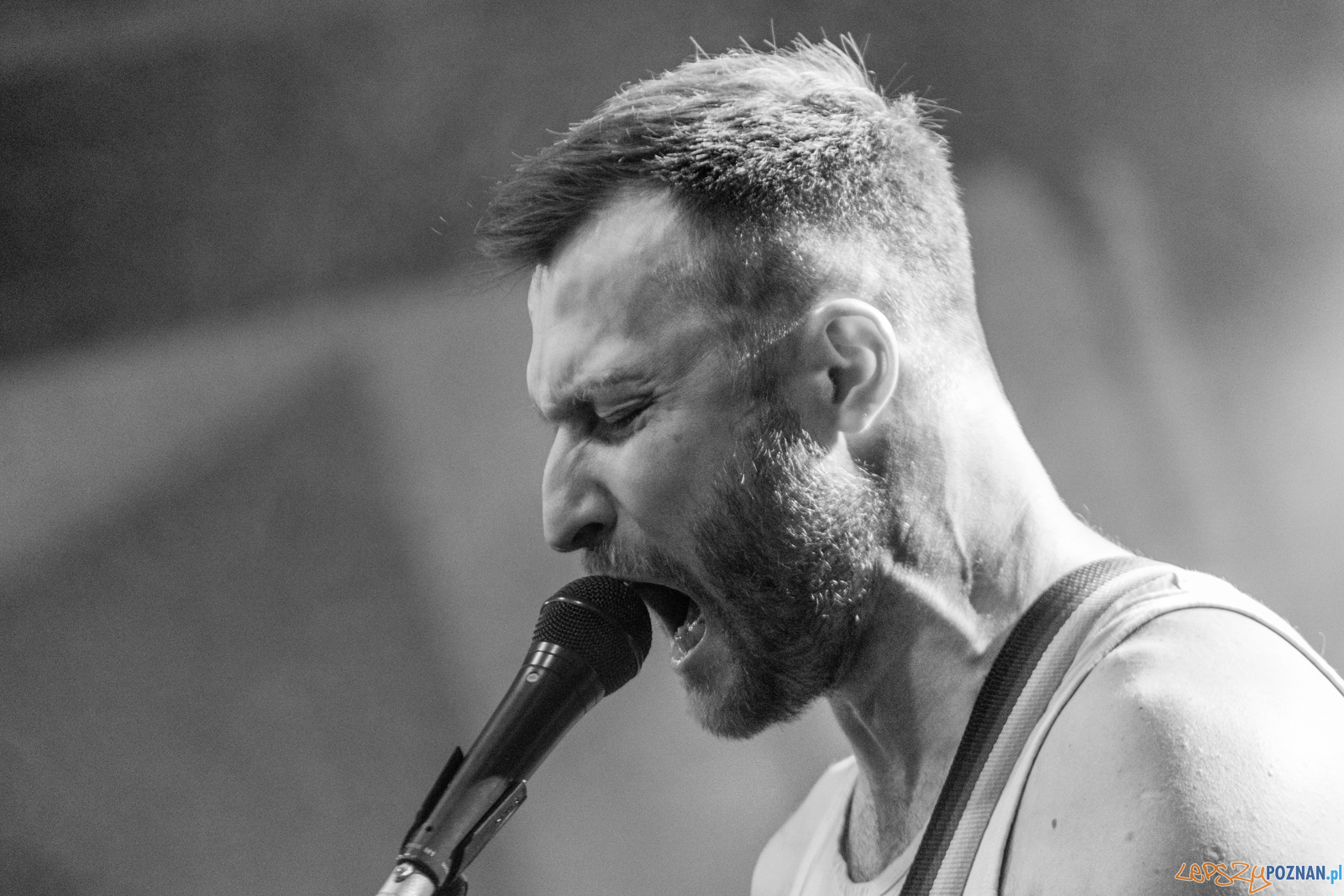 Wczasy i Bloki NaWolnym Foto: lepszyPOZNAN.pl / Ewelina Jaśkowiak Wczasy i Bloki NaWolnym Foto: lepszyPOZNAN.pl / Ewelina Jaśkowiak