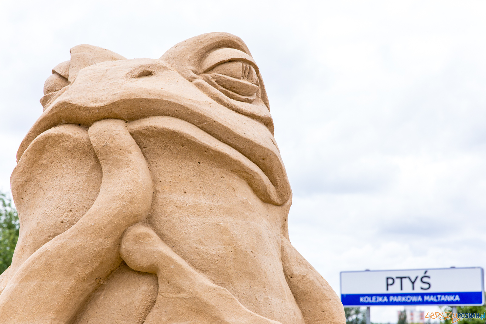 Poznań Sand Festival 2019, czyli Festiwalu Rzeźby Piaskowej - Foto: LepszyPOZNAN.pl / Paweł Rychter Poznań Sand Festival 2019, czyli Festiwalu Rzeźby Piaskowej - Foto: LepszyPOZNAN.pl / Paweł Rychter