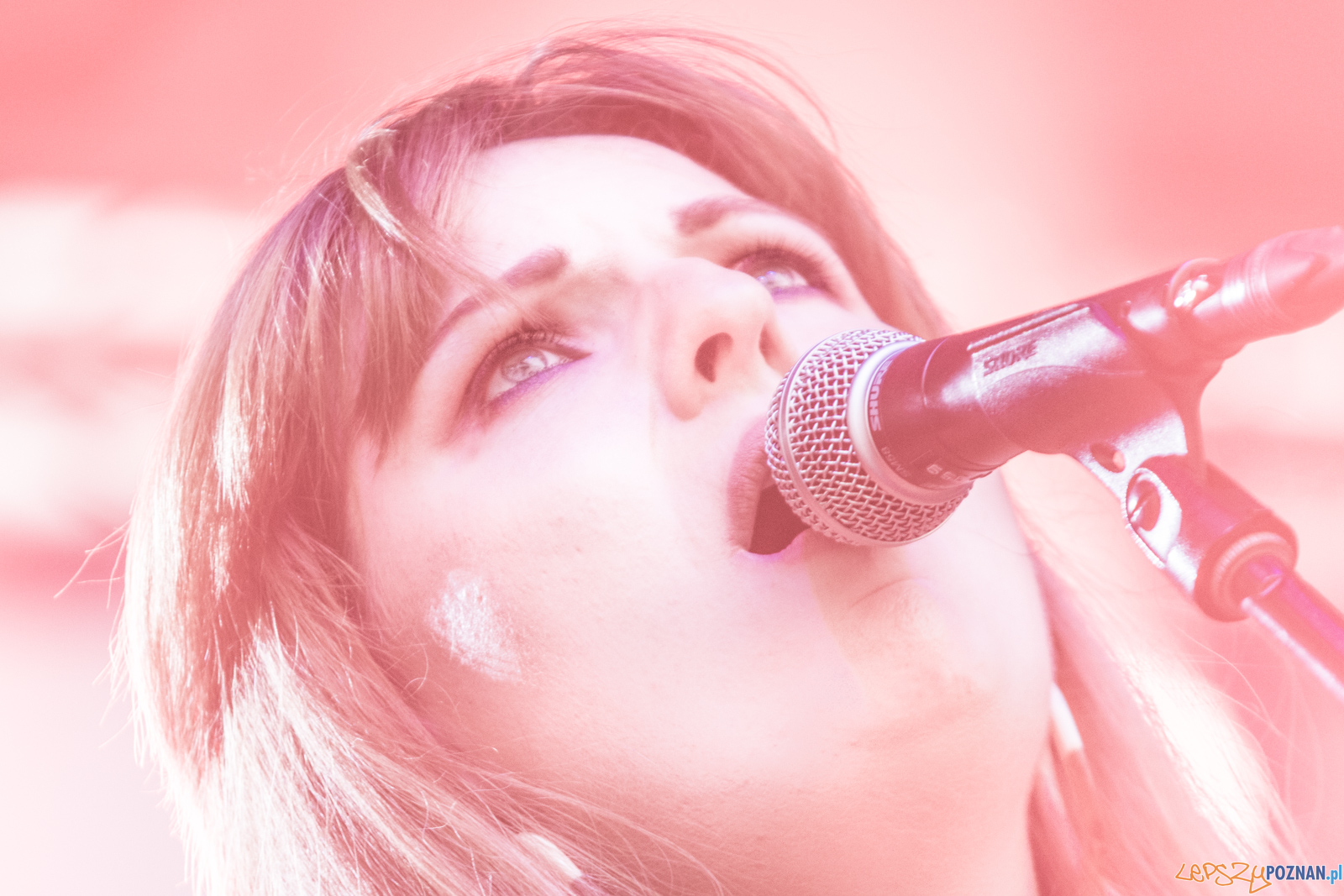 Wczasy i Bloki NaWolnym Foto: lepszyPOZNAN.pl / Ewelina Jaśkowiak Wczasy i Bloki NaWolnym Foto: lepszyPOZNAN.pl / Ewelina Jaśkowiak