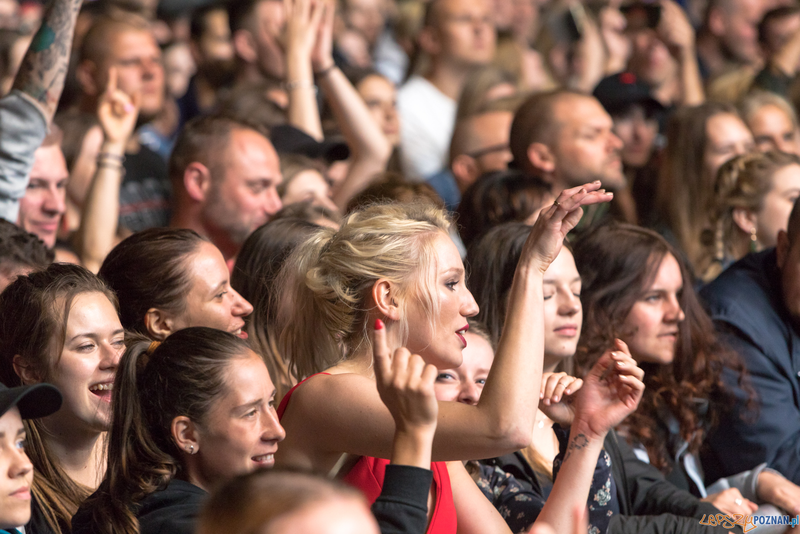 Męskie Granie 2019 Foto: lepszyPOZNAN.pl/Piotr Rychter Męskie Granie 2019 Foto: lepszyPOZNAN.pl/Piotr Rychter