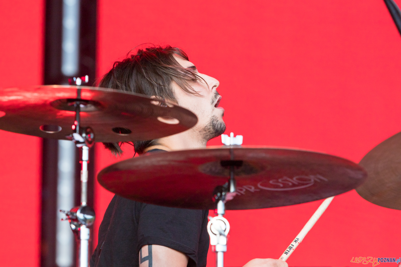 Męskie Granie 2019 - The Dumplings Foto: lepszyPOZNAN.pl/Piotr Rychter Męskie Granie 2019 - The Dumplings Foto: lepszyPOZNAN.pl/Piotr Rychter