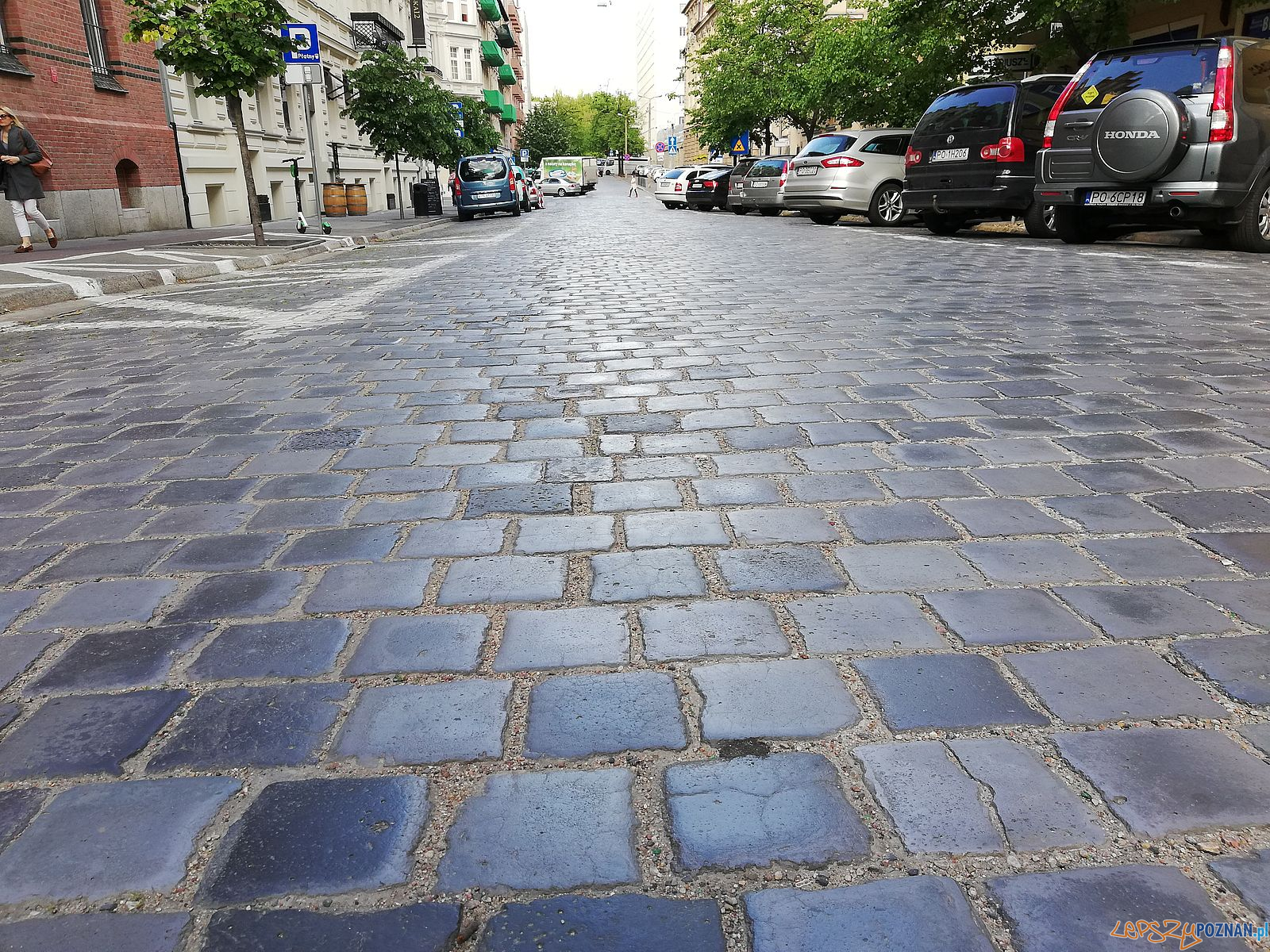 Niebieski bruk na Młyńskiej Foto: Tomasz Dworek Niebieski bruk na Młyńskiej Foto: Tomasz Dworek