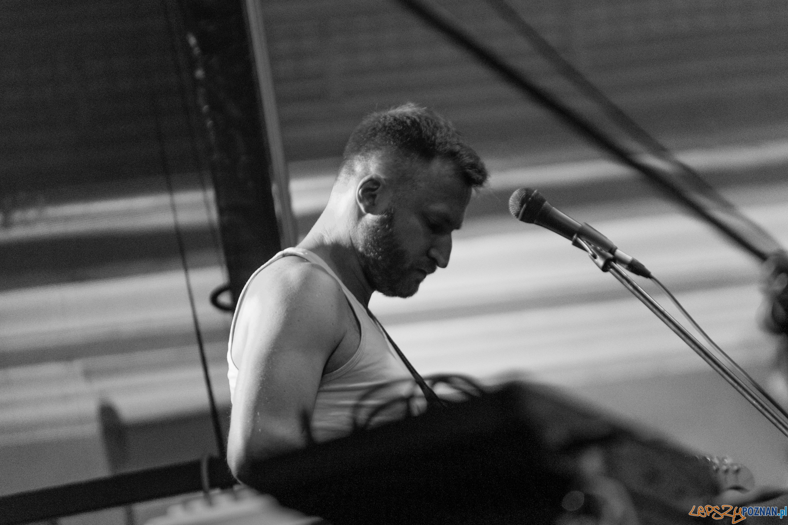 Wczasy i Bloki NaWolnym Foto: lepszyPOZNAN.pl / Ewelina Jaśkowiak Wczasy i Bloki NaWolnym Foto: lepszyPOZNAN.pl / Ewelina Jaśkowiak