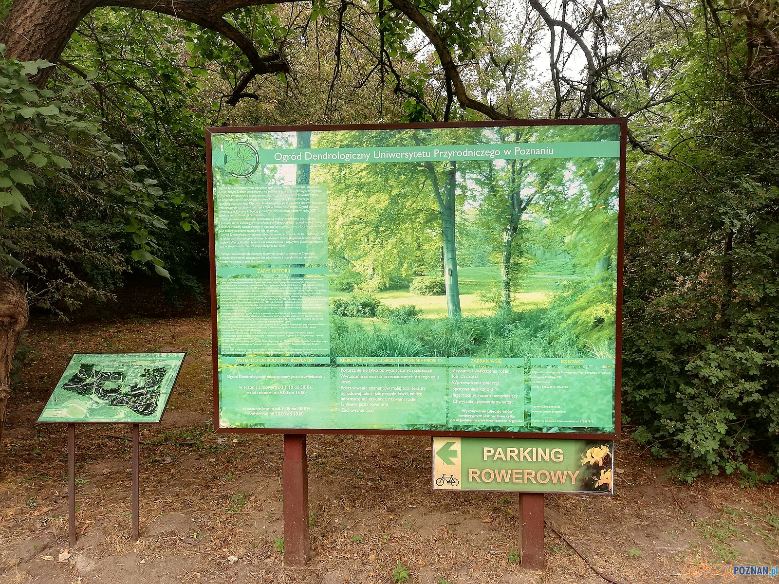 Ogród Dendrologiczny Foto: Tomasz Dworek Ogród Dendrologiczny Foto: Tomasz Dworek