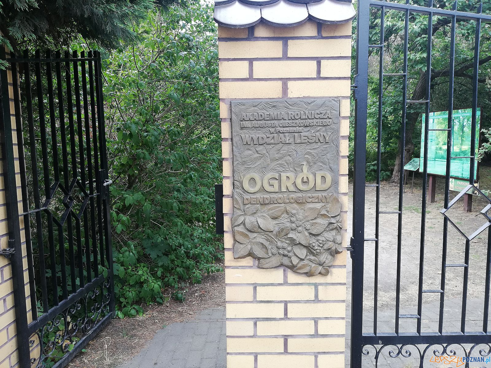 Ogród Dendrologiczny Foto: Tomasz Dworek Ogród Dendrologiczny Foto: Tomasz Dworek