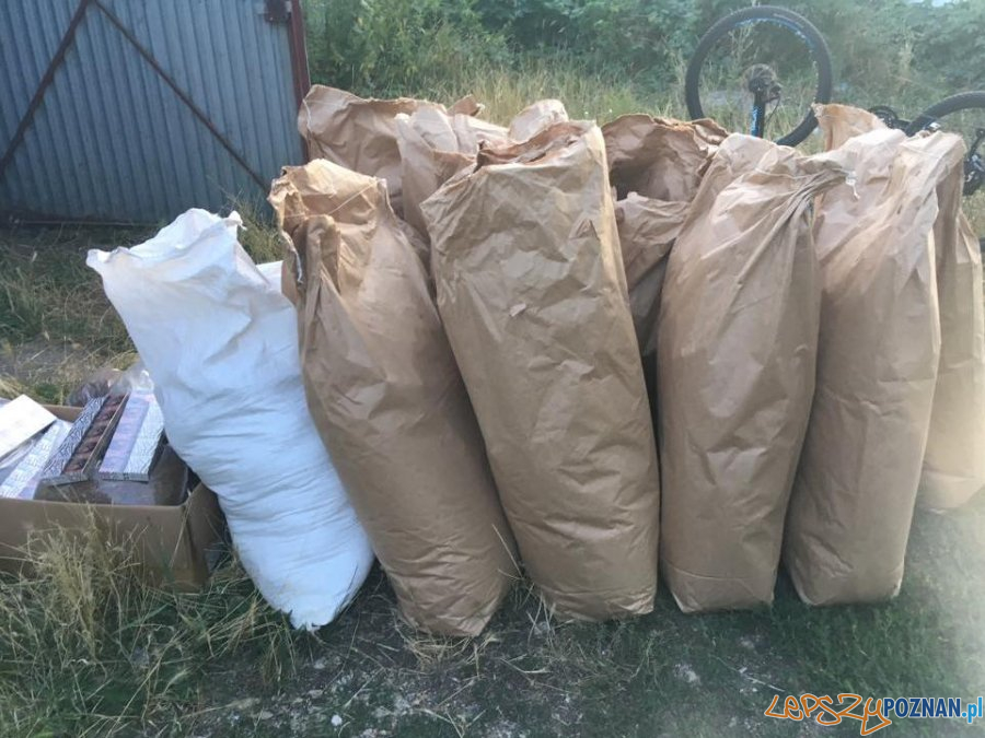 200 kg tytoniu bez akcyzy Foto: materiały prasowe / KMP 200 kg tytoniu bez akcyzy Foto: materiały prasowe / KMP