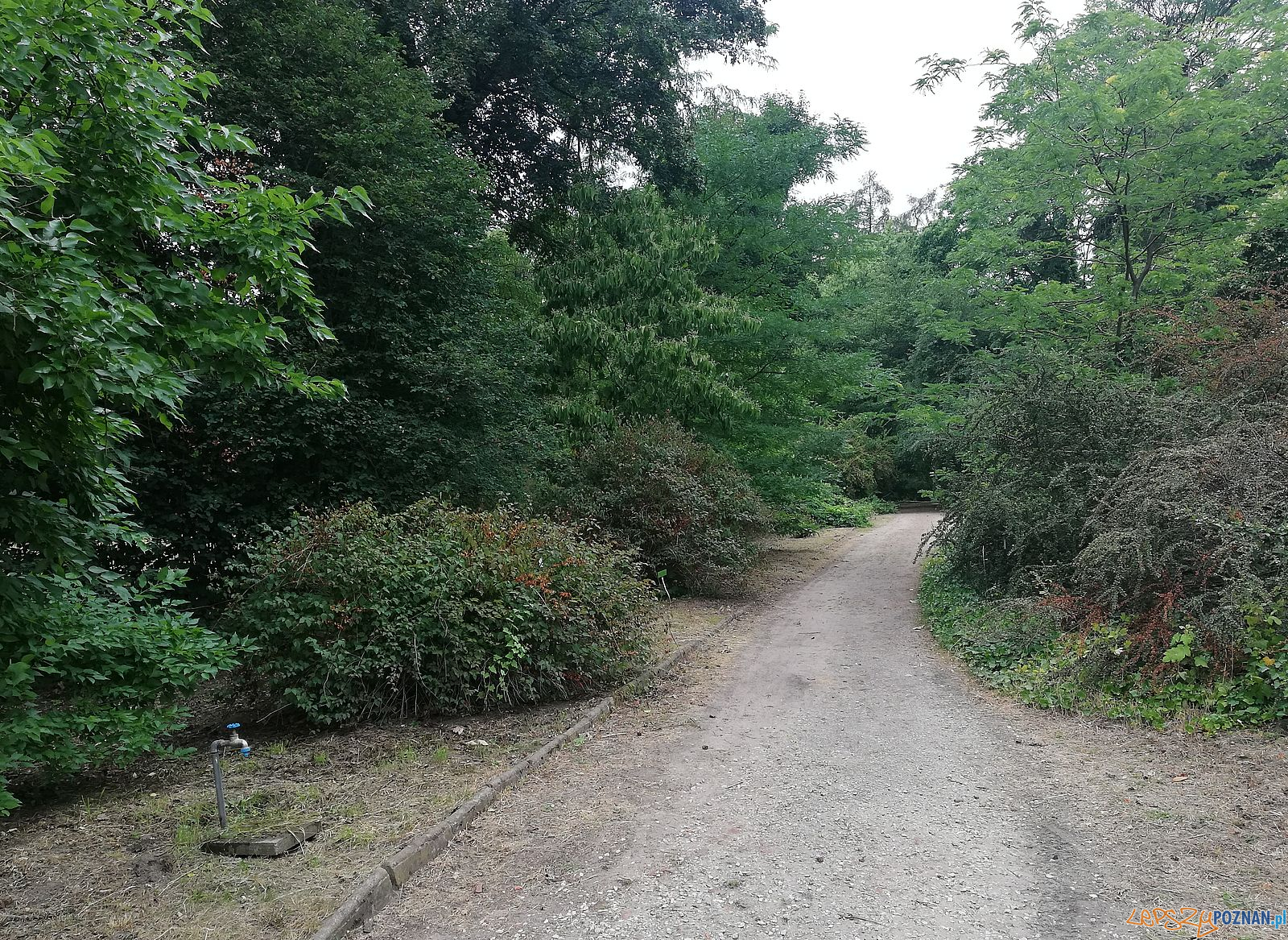 Ogród Dendrologiczny Foto: Tomasz Dworek Ogród Dendrologiczny Foto: Tomasz Dworek