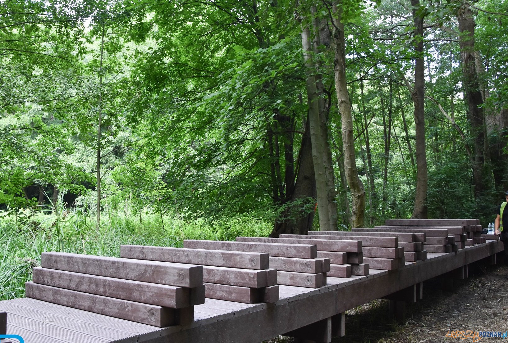 Prace w Dolinie Cybiny Foto: materiały prasowe / PIM Prace w Dolinie Cybiny Foto: materiały prasowe / PIM