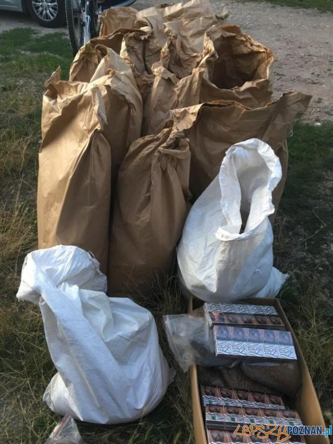 200 kg tytoniu bez akcyzy Foto: materiały prasowe / KMP 200 kg tytoniu bez akcyzy Foto: materiały prasowe / KMP