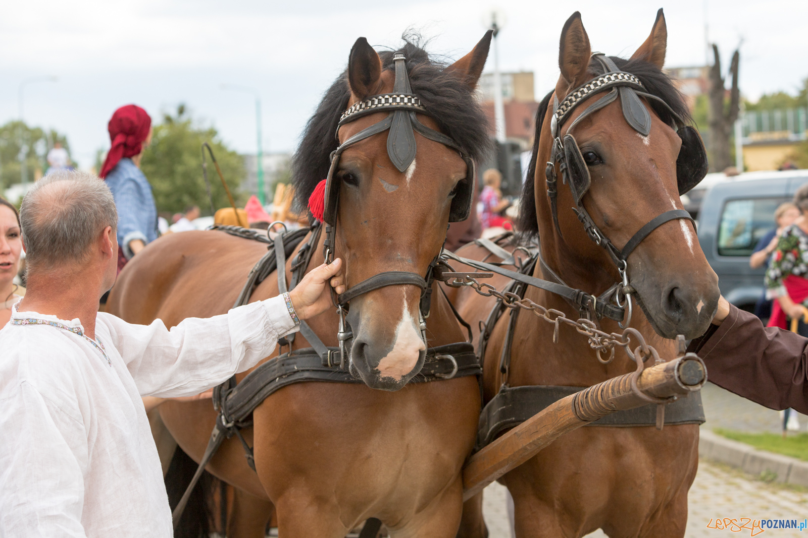 Święto poznańskich Bambrów Foto: lepszyPOZNAN.pl/Piotr Rychter Święto poznańskich Bambrów Foto: lepszyPOZNAN.pl/Piotr Rychter