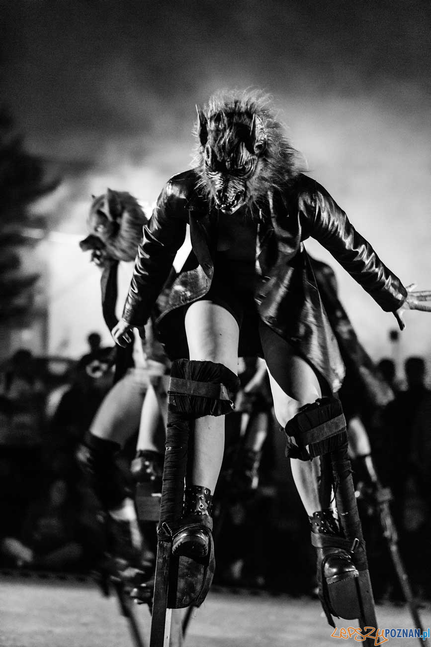 A Part - Lear, k...3 Foto: materiały prasowe A Part - Lear, k...3 Foto: materiały prasowe