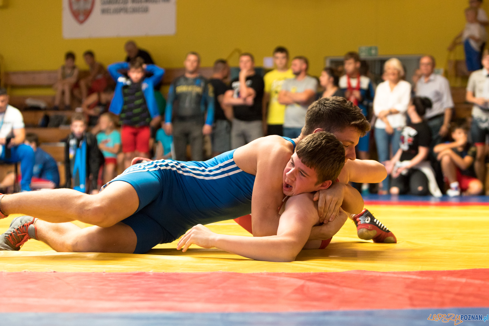 XIII Międzynarodowy Turniej Zapaśniczy
Memoriał Józefa Moczy Foto: lepszyPOZNAN.pl/Piotr Rychter XIII Międzynarodowy Turniej Zapaśniczy
Memoriał Józefa Moczy Foto: lepszyPOZNAN.pl/Piotr Rychter