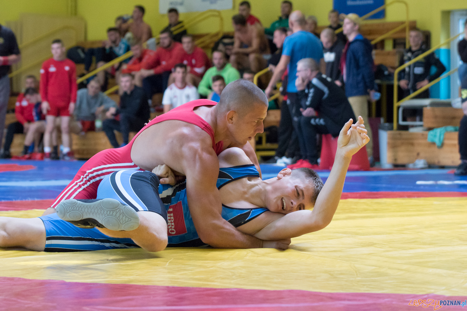 Młodzieżowe Mistrzostwa Polski Zapasy Styl Klasyczny Poznań I Foto: lepszyPOZNAN.pl / Ewelina Jaśkowiak Młodzieżowe Mistrzostwa Polski Zapasy Styl Klasyczny Poznań I Foto: lepszyPOZNAN.pl / Ewelina Jaśkowiak