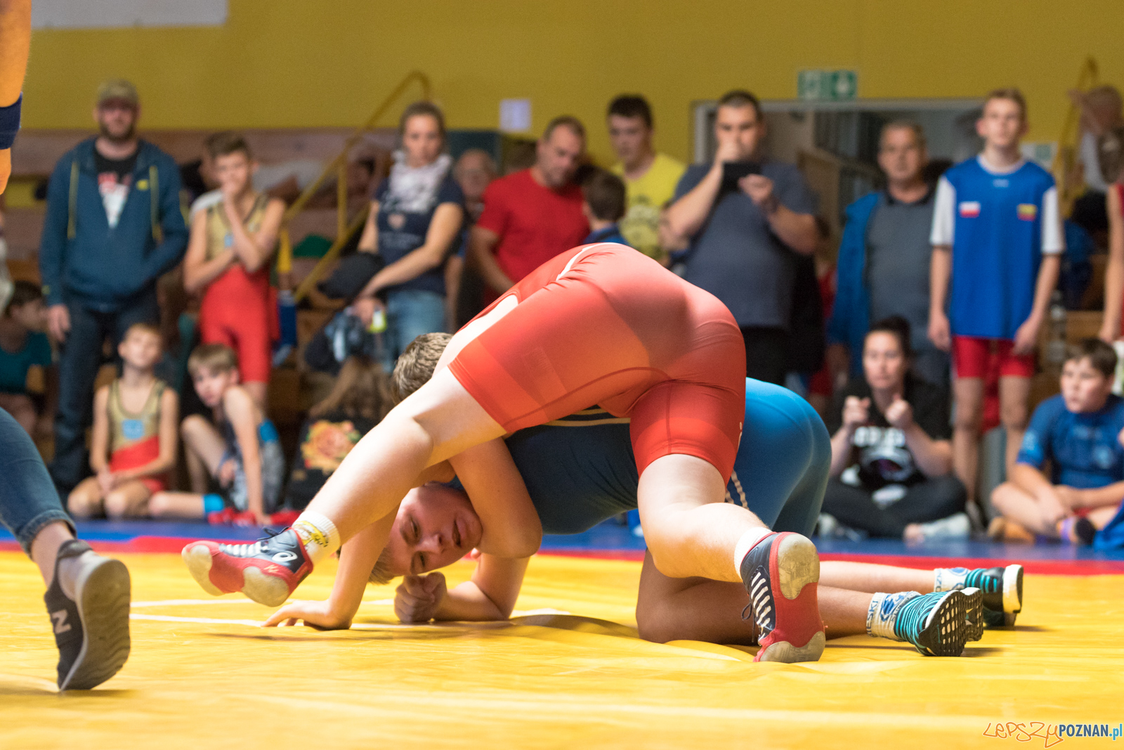 XIII Międzynarodowy Turniej Zapaśniczy
Memoriał Józefa Moczy Foto: lepszyPOZNAN.pl/Piotr Rychter XIII Międzynarodowy Turniej Zapaśniczy
Memoriał Józefa Moczy Foto: lepszyPOZNAN.pl/Piotr Rychter