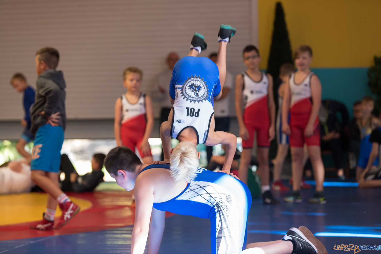 XIII Międzynarodowy Turniej Zapaśniczy
Memoriał Józefa Moczy Foto: lepszyPOZNAN.pl/Piotr Rychter XIII Międzynarodowy Turniej Zapaśniczy
Memoriał Józefa Moczy Foto: lepszyPOZNAN.pl/Piotr Rychter