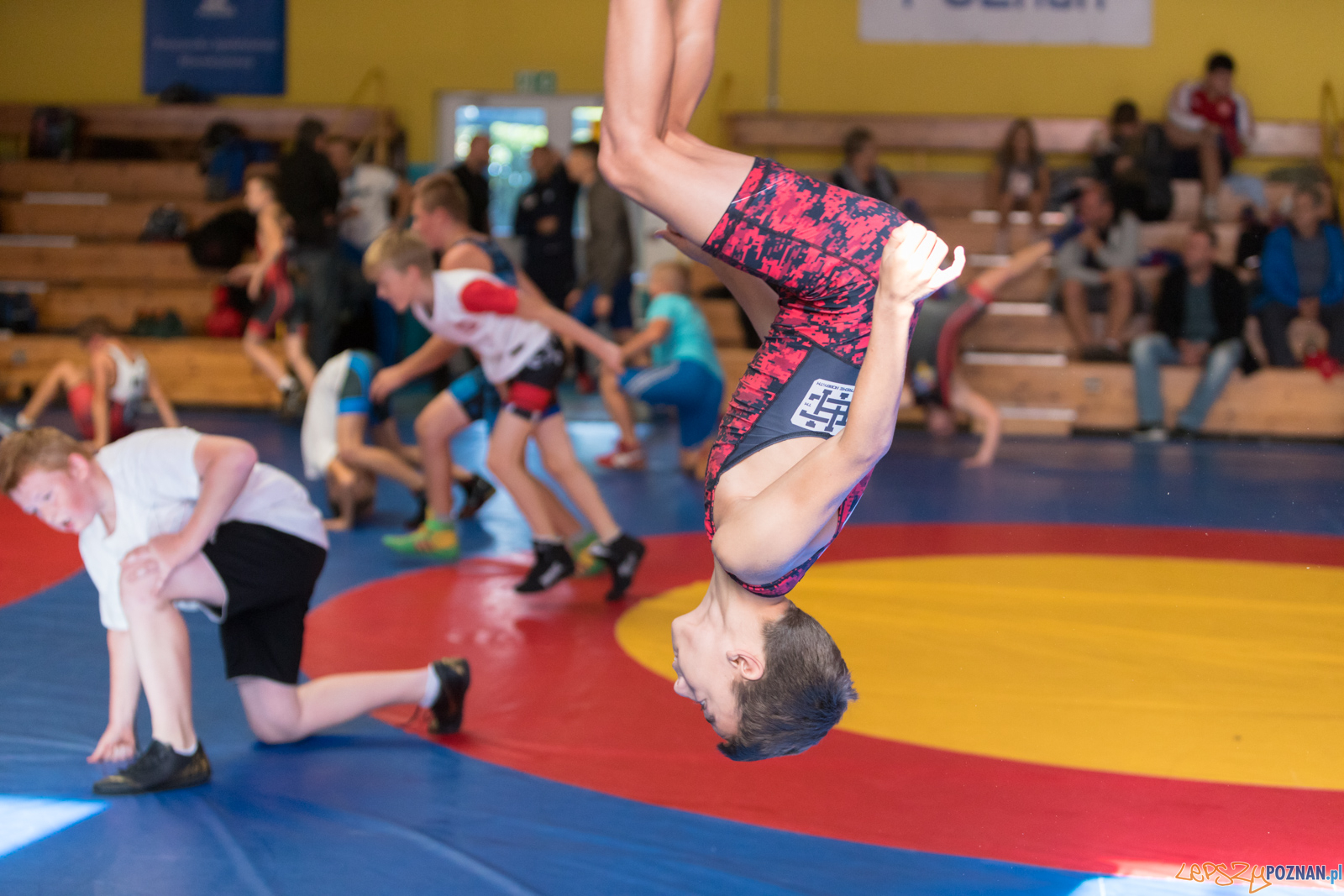 XIII Międzynarodowy Turniej Zapaśniczy
Memoriał Józefa Moczy Foto: lepszyPOZNAN.pl/Piotr Rychter XIII Międzynarodowy Turniej Zapaśniczy
Memoriał Józefa Moczy Foto: lepszyPOZNAN.pl/Piotr Rychter