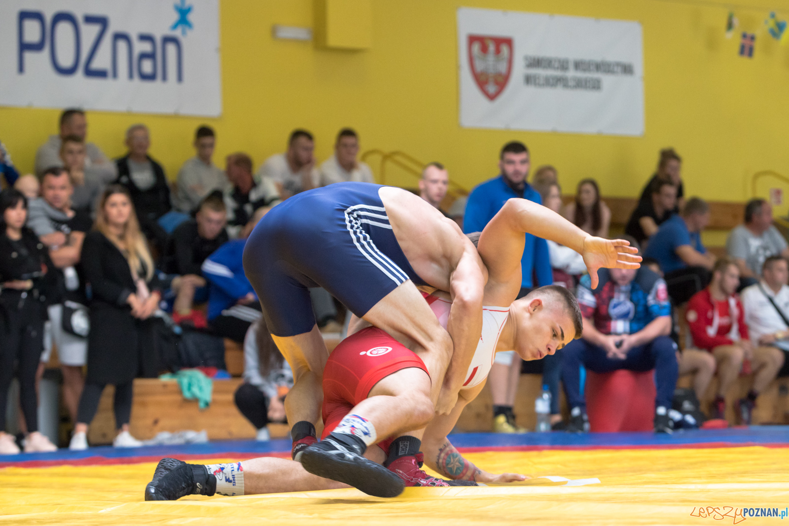 Młodzieżowe Mistrzostwa Polski Zapasy Styl Klasyczny Foto: lepszyPOZNAN.pl/Piotr Rychter Młodzieżowe Mistrzostwa Polski Zapasy Styl Klasyczny Foto: lepszyPOZNAN.pl/Piotr Rychter