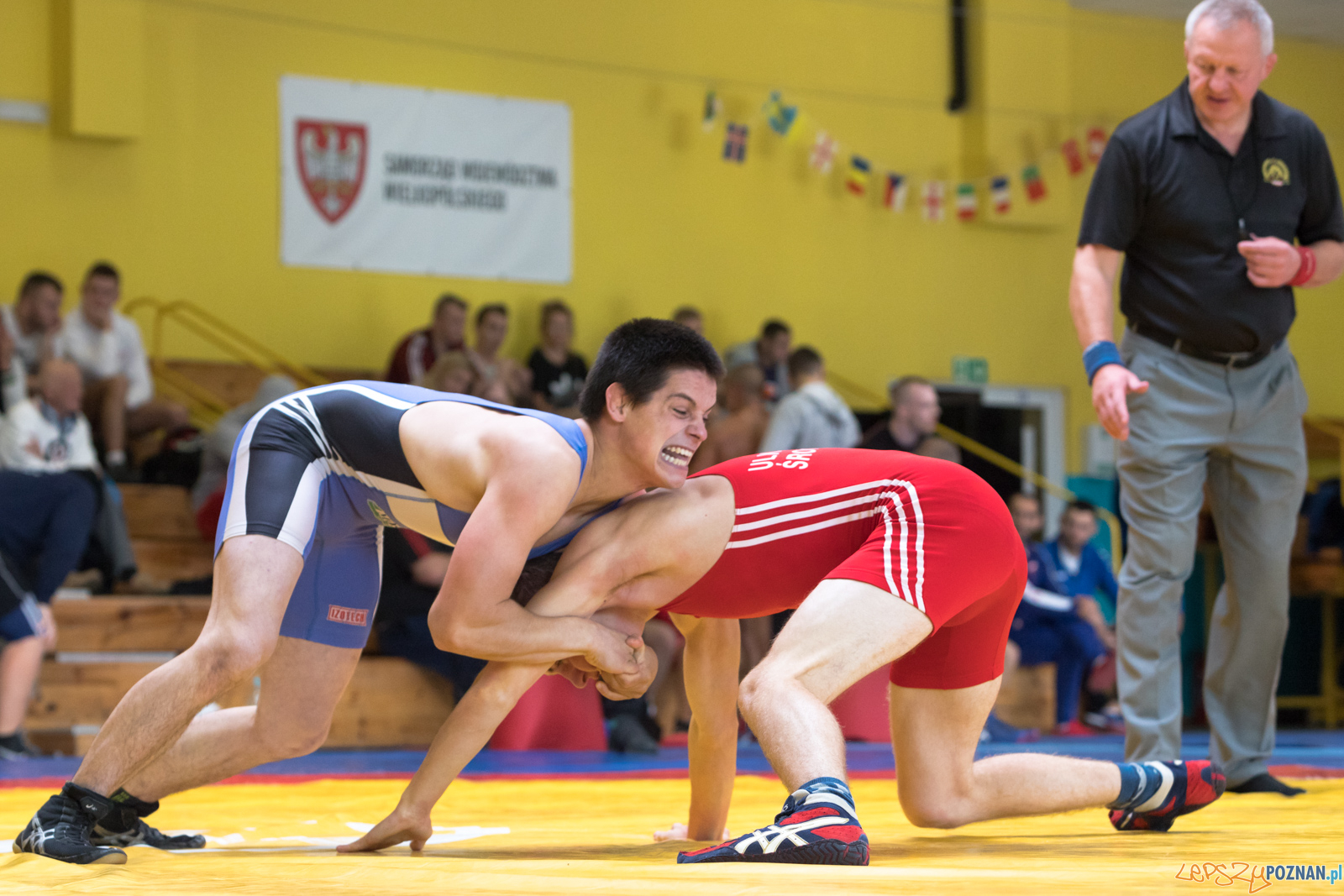 Młodzieżowe Mistrzostwa Polski Zapasy Styl Klasyczny Foto: lepszyPOZNAN.pl/Piotr Rychter Młodzieżowe Mistrzostwa Polski Zapasy Styl Klasyczny Foto: lepszyPOZNAN.pl/Piotr Rychter