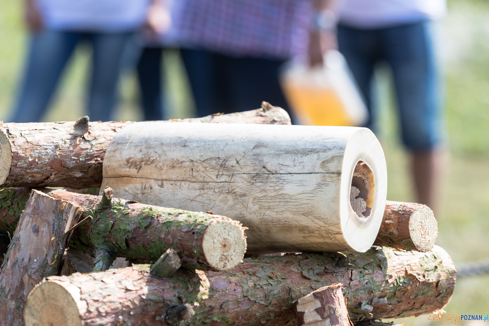 Spalenie kła Ninio Foto: lepszyPOZNAN.pl/Piotr Rychter Spalenie kła Ninio Foto: lepszyPOZNAN.pl/Piotr Rychter
