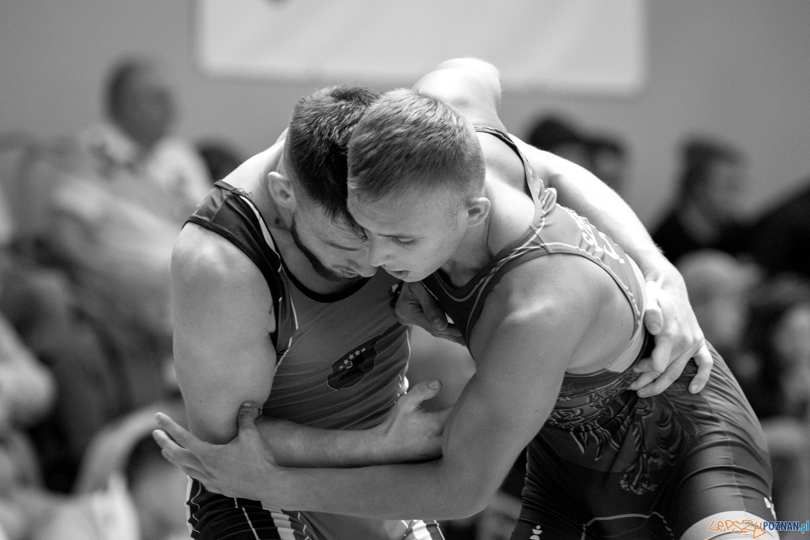 Młodzieżowe Mistrzostwa Polski Zapasy Styl Klasyczny Poznań I Foto: lepszyPOZNAN.pl / Ewelina Jaśkowiak Młodzieżowe Mistrzostwa Polski Zapasy Styl Klasyczny Poznań I Foto: lepszyPOZNAN.pl / Ewelina Jaśkowiak