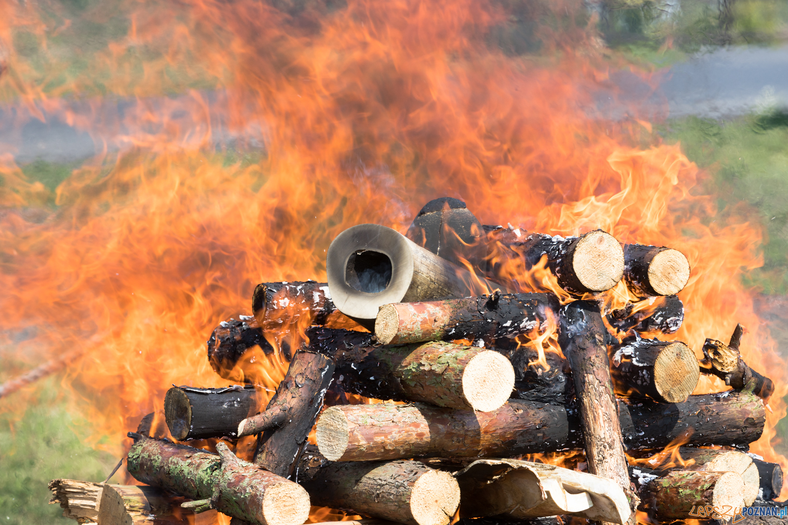 Spalenie kła Ninio Foto: lepszyPOZNAN.pl/Piotr Rychter Spalenie kła Ninio Foto: lepszyPOZNAN.pl/Piotr Rychter