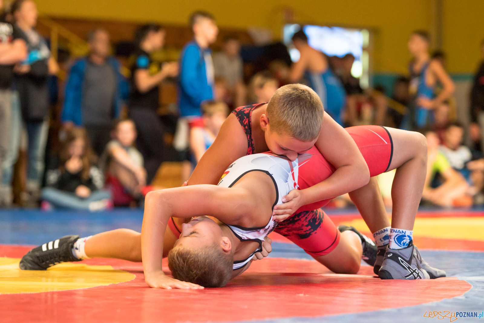 XIII Międzynarodowy Turniej Zapaśniczy
Memoriał Józefa Moczy Foto: lepszyPOZNAN.pl/Piotr Rychter XIII Międzynarodowy Turniej Zapaśniczy
Memoriał Józefa Moczy Foto: lepszyPOZNAN.pl/Piotr Rychter