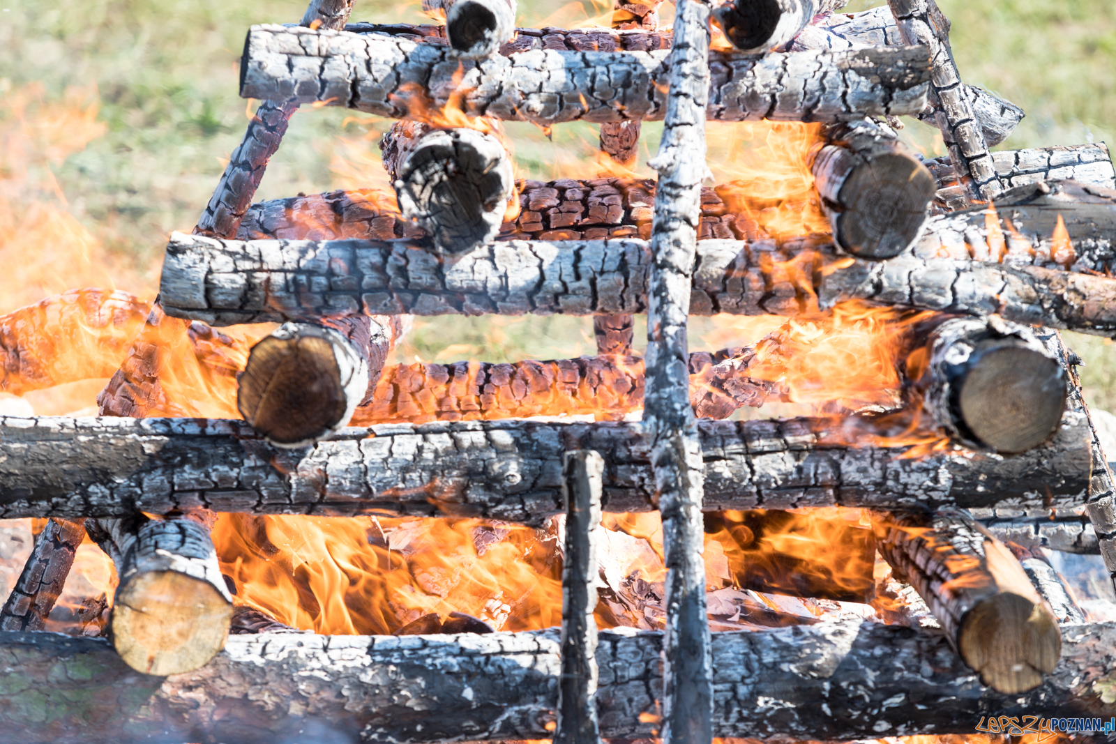 Spalenie kła Ninio Foto: lepszyPOZNAN.pl/Piotr Rychter Spalenie kła Ninio Foto: lepszyPOZNAN.pl/Piotr Rychter