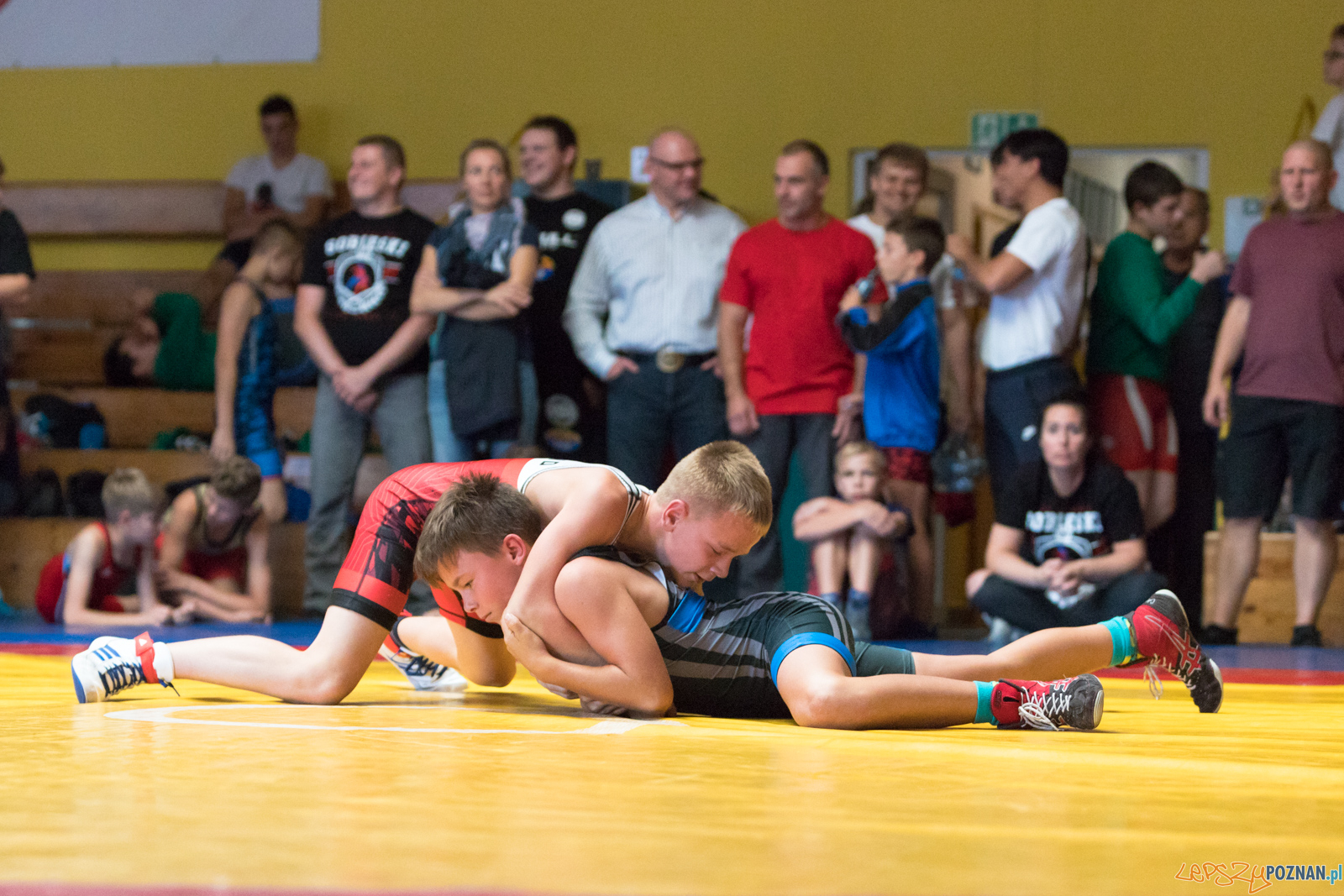 XIII Międzynarodowy Turniej Zapaśniczy
Memoriał Józefa Moczy Foto: lepszyPOZNAN.pl/Piotr Rychter XIII Międzynarodowy Turniej Zapaśniczy
Memoriał Józefa Moczy Foto: lepszyPOZNAN.pl/Piotr Rychter