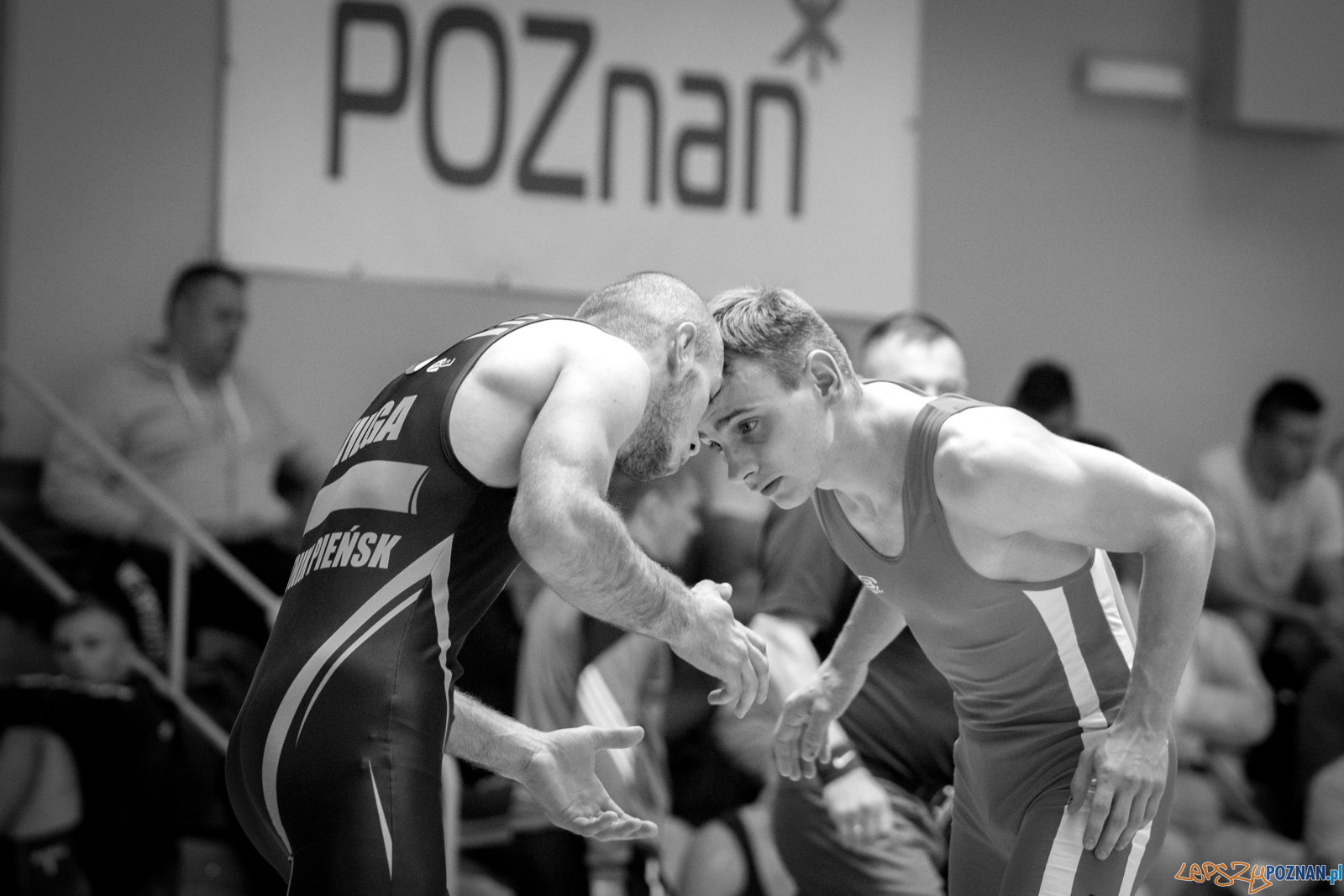 Młodzieżowe Mistrzostwa Polski Zapasy Styl Klasyczny Poznań I Foto: lepszyPOZNAN.pl / Ewelina Jaśkowiak Młodzieżowe Mistrzostwa Polski Zapasy Styl Klasyczny Poznań I Foto: lepszyPOZNAN.pl / Ewelina Jaśkowiak