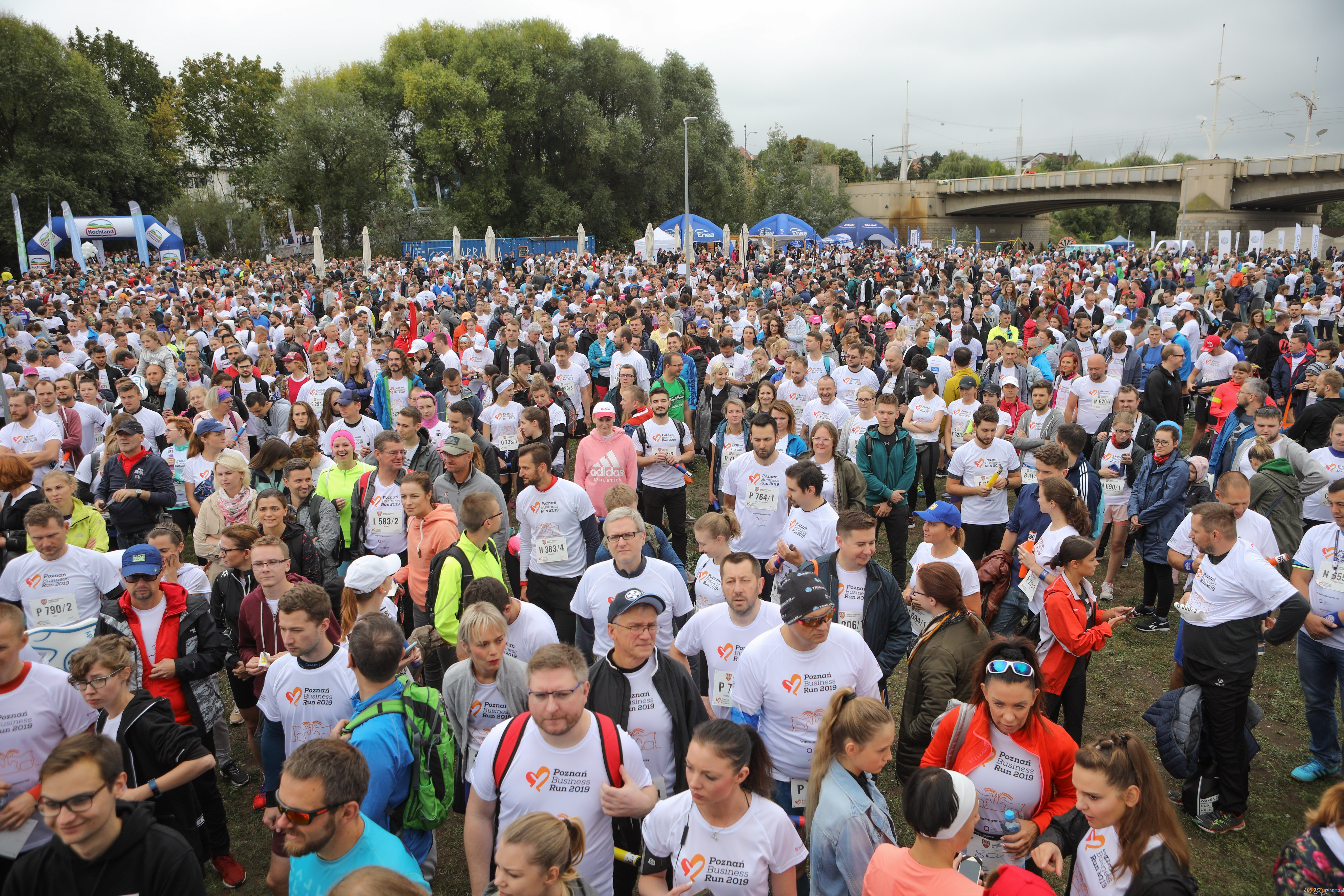 Poznań Business Run Foto: materiały prasowe Poznań Business Run Foto: materiały prasowe