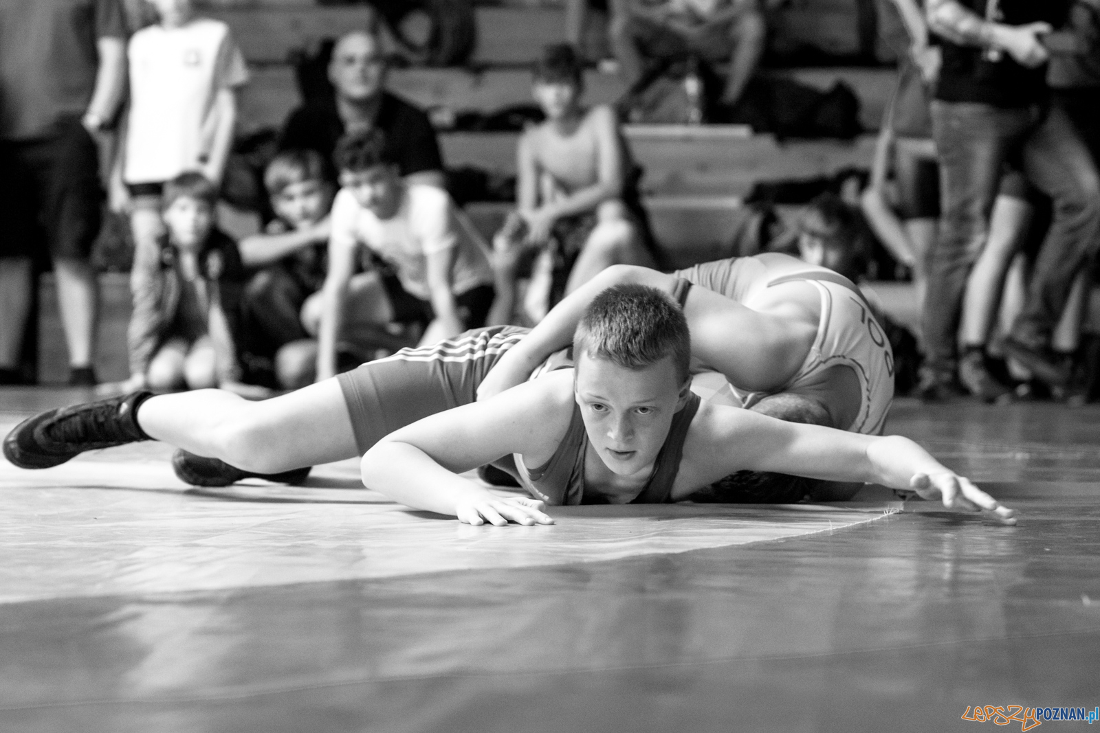 XIII Międzynarodowy Turniej Zapaśniczy
Memoriał Józefa Moczy Foto: lepszyPOZNAN.pl/Piotr Rychter XIII Międzynarodowy Turniej Zapaśniczy
Memoriał Józefa Moczy Foto: lepszyPOZNAN.pl/Piotr Rychter