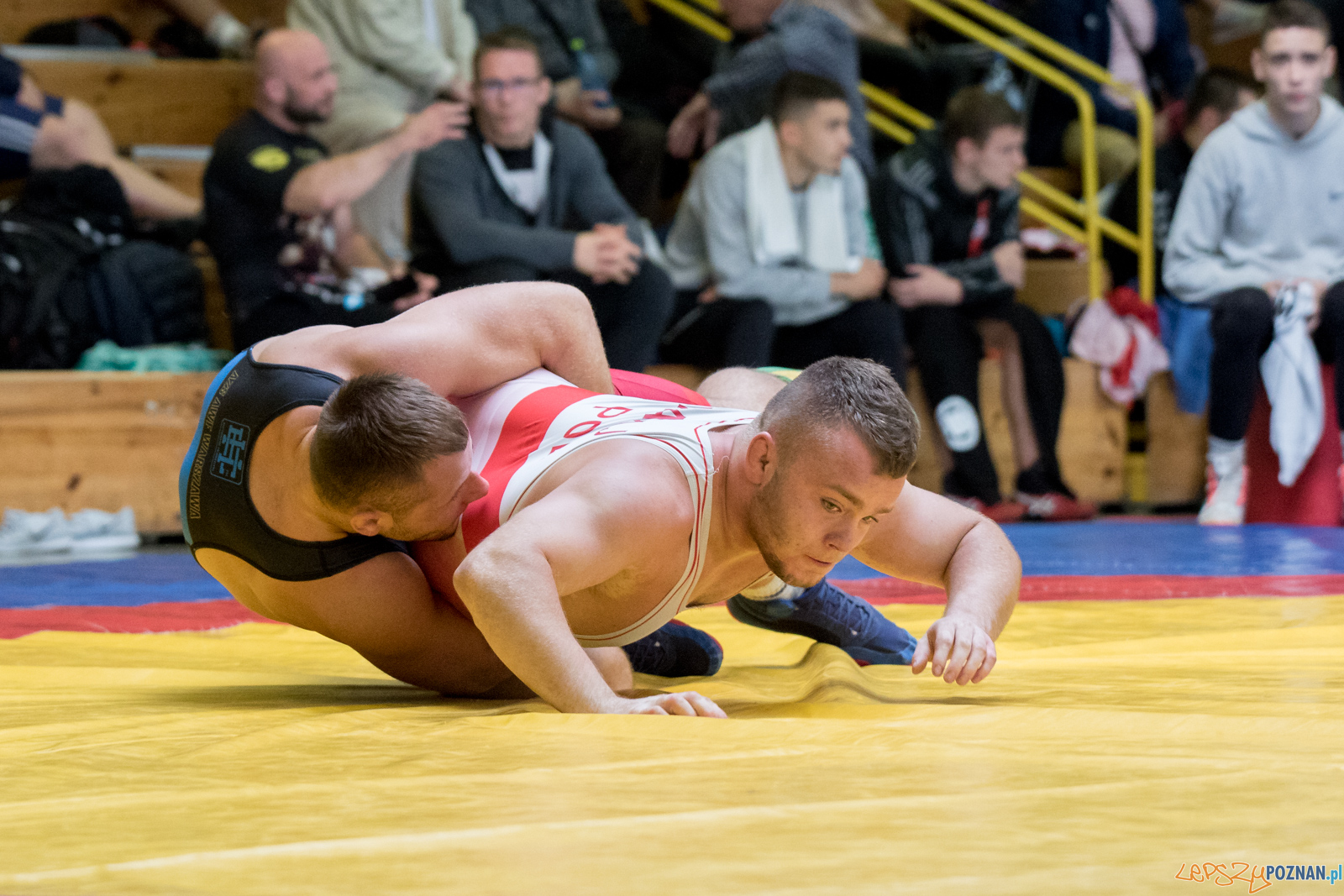 Młodzieżowe Mistrzostwa Polski Zapasy Styl Klasyczny Poznań I Foto: lepszyPOZNAN.pl / Ewelina Jaśkowiak Młodzieżowe Mistrzostwa Polski Zapasy Styl Klasyczny Poznań I Foto: lepszyPOZNAN.pl / Ewelina Jaśkowiak