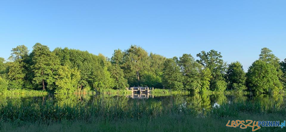 Dolina Cybiny Foto: materiały prasow / Miłośnicy Doliny Cybiny Dolina Cybiny Foto: materiały prasow / Miłośnicy Doliny Cybiny