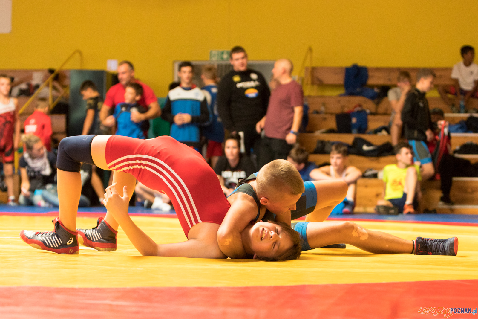 XIII Międzynarodowy Turniej Zapaśniczy
Memoriał Józefa Moczy Foto: lepszyPOZNAN.pl/Piotr Rychter XIII Międzynarodowy Turniej Zapaśniczy
Memoriał Józefa Moczy Foto: lepszyPOZNAN.pl/Piotr Rychter