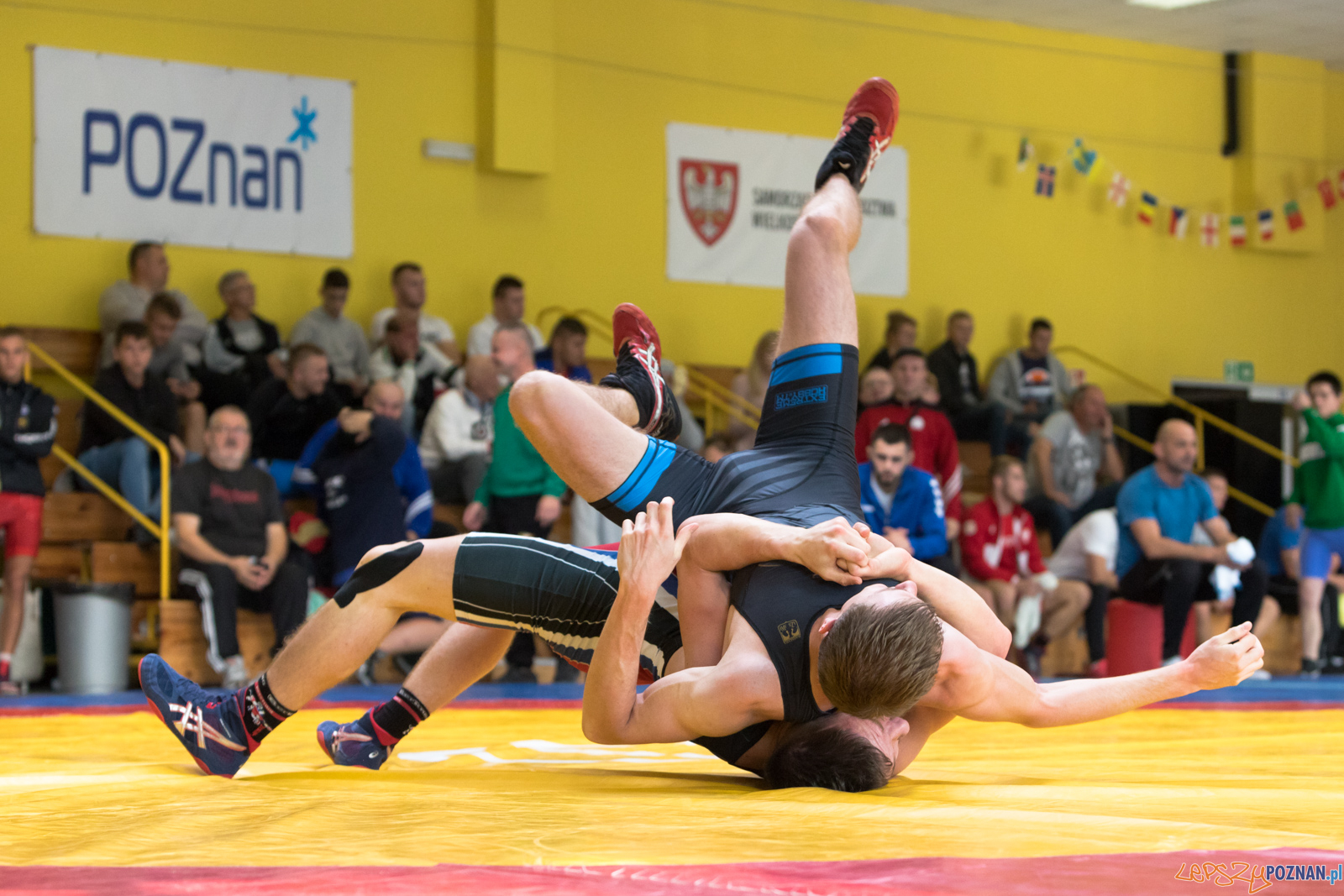 Młodzieżowe Mistrzostwa Polski Zapasy Styl Klasyczny Foto: lepszyPOZNAN.pl/Piotr Rychter Młodzieżowe Mistrzostwa Polski Zapasy Styl Klasyczny Foto: lepszyPOZNAN.pl/Piotr Rychter