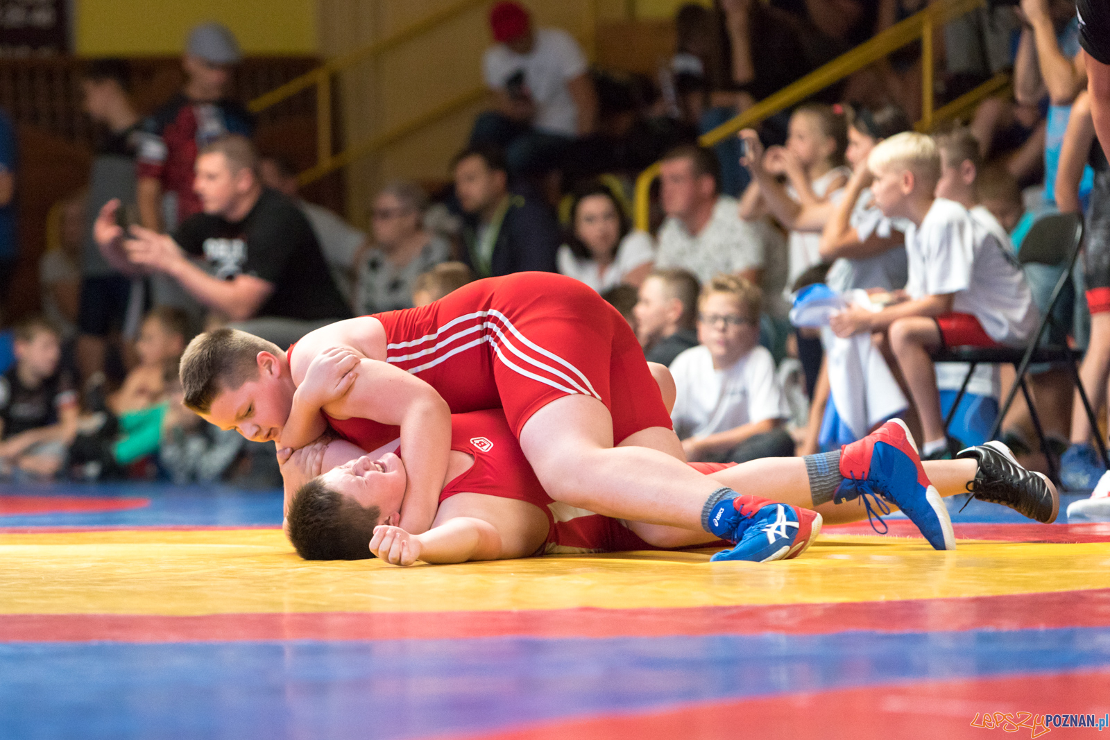 XIII Międzynarodowy Turniej Zapaśniczy
Memoriał Józefa Moczy Foto: lepszyPOZNAN.pl/Piotr Rychter XIII Międzynarodowy Turniej Zapaśniczy
Memoriał Józefa Moczy Foto: lepszyPOZNAN.pl/Piotr Rychter