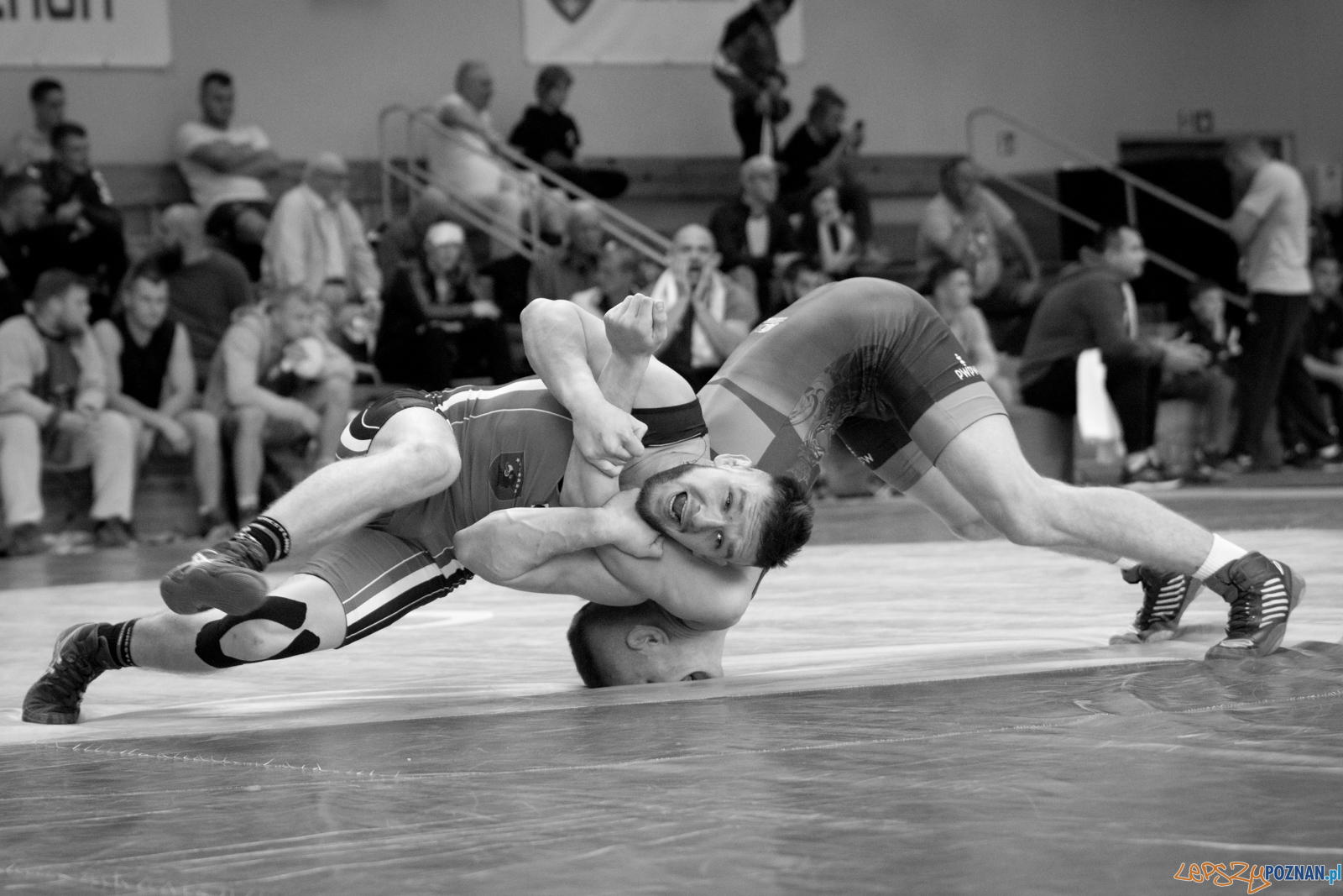 Młodzieżowe Mistrzostwa Polski Zapasy Styl Klasyczny Poznań I Foto: lepszyPOZNAN.pl / Ewelina Jaśkowiak Młodzieżowe Mistrzostwa Polski Zapasy Styl Klasyczny Poznań I Foto: lepszyPOZNAN.pl / Ewelina Jaśkowiak