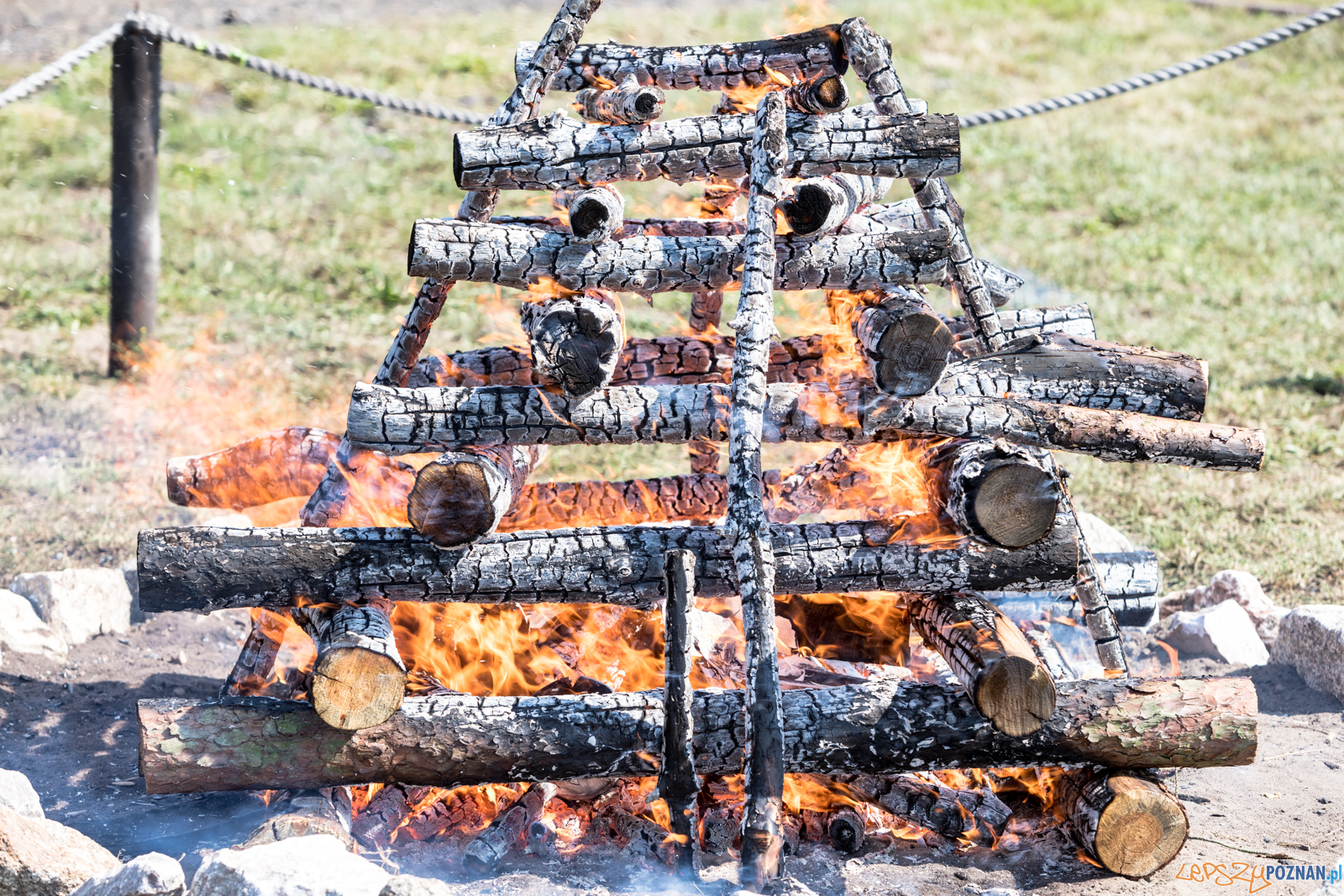 Spalenie kła Ninio Foto: lepszyPOZNAN.pl/Piotr Rychter Spalenie kła Ninio Foto: lepszyPOZNAN.pl/Piotr Rychter