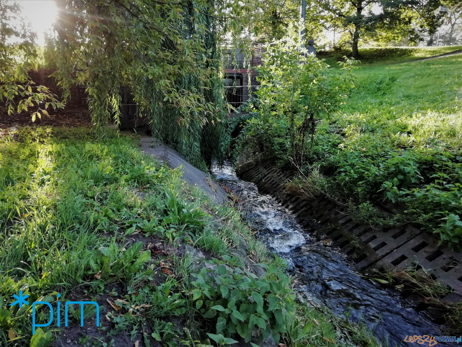 ciek Bogdanka Foto: materiały prasowe / PIM ciek Bogdanka Foto: materiały prasowe / PIM