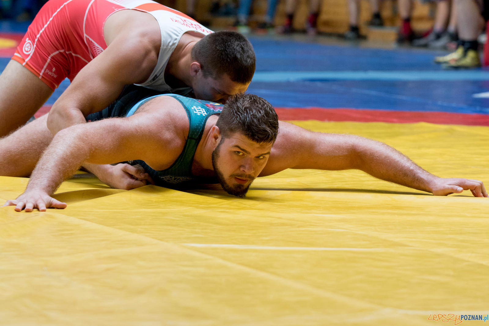 Młodzieżowe Mistrzostwa Polski Zapasy Styl Klasyczny Poznań I Foto: lepszyPOZNAN.pl / Ewelina Jaśkowiak Młodzieżowe Mistrzostwa Polski Zapasy Styl Klasyczny Poznań I Foto: lepszyPOZNAN.pl / Ewelina Jaśkowiak