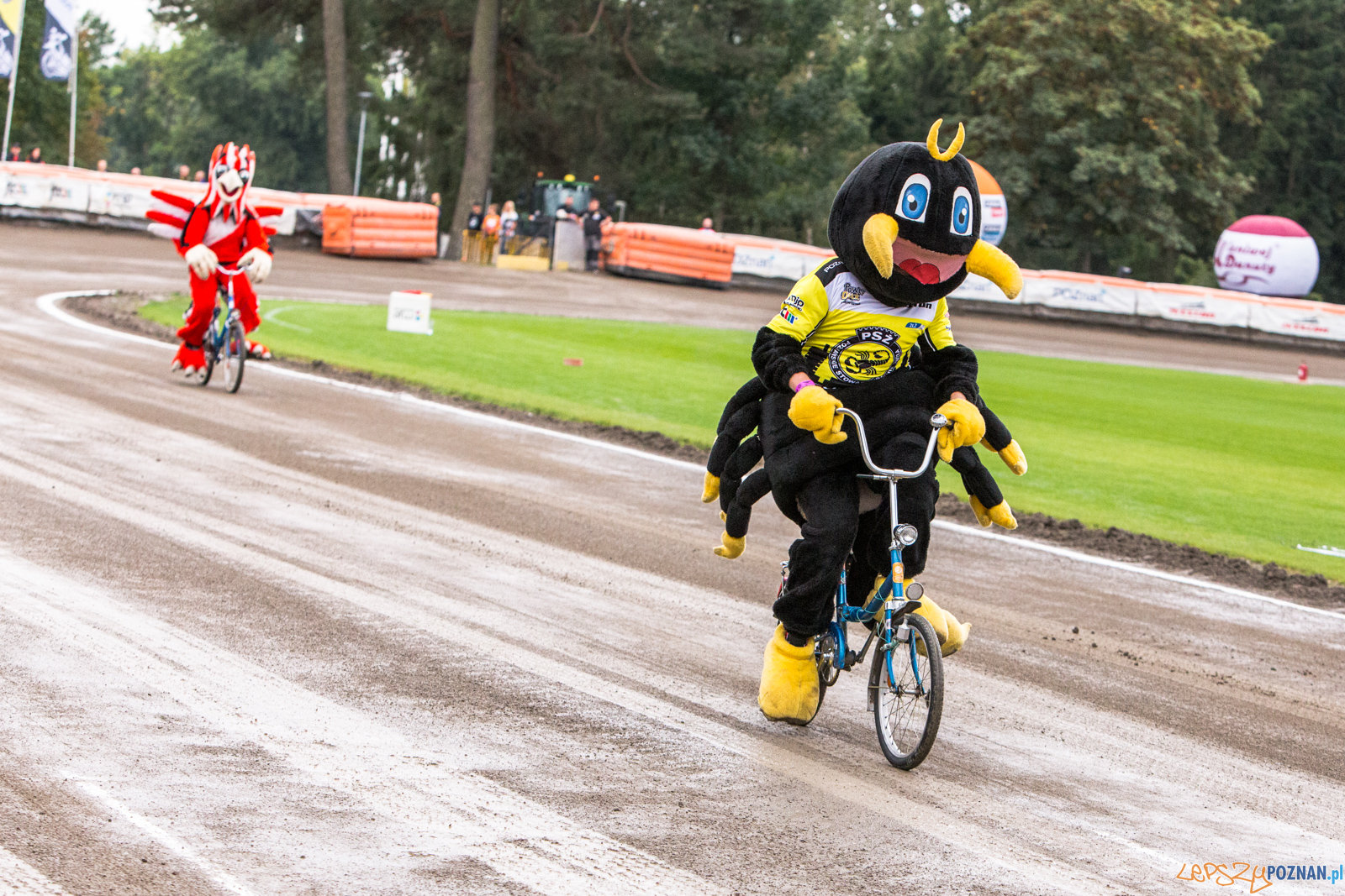 Finał 2 liga żużla: Power Duck Iveston PSŻ Poznań - ZOOlesz Foto: LepszyPOZNAN.pl / Paweł Rychter Finał 2 liga żużla: Power Duck Iveston PSŻ Poznań - ZOOlesz Foto: LepszyPOZNAN.pl / Paweł Rychter