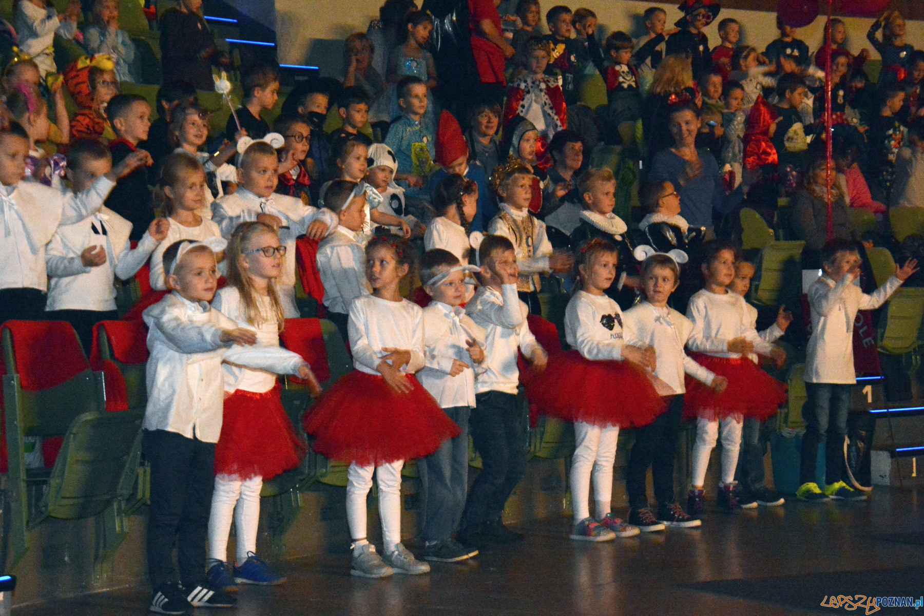 Dzień Przedszkolaka Foto: materiały prasowe / UMP Dzień Przedszkolaka Foto: materiały prasowe / UMP