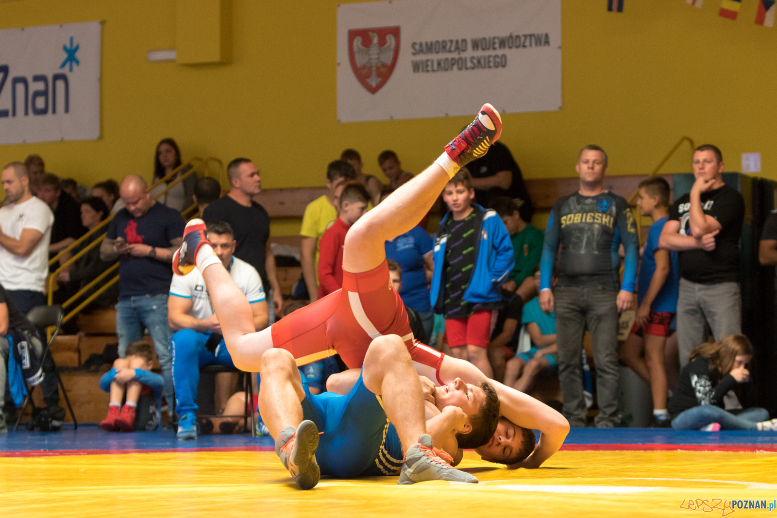 XIII Międzynarodowy Turniej Zapaśniczy
Memoriał Józefa Moczy Foto: lepszyPOZNAN.pl/Piotr Rychter XIII Międzynarodowy Turniej Zapaśniczy
Memoriał Józefa Moczy Foto: lepszyPOZNAN.pl/Piotr Rychter