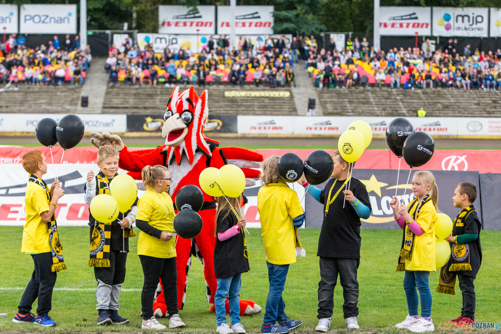 Finał 2 liga żużla: Power Duck Iveston PSŻ Poznań - ZOOlesz Foto: LepszyPOZNAN.pl / Paweł Rychter Finał 2 liga żużla: Power Duck Iveston PSŻ Poznań - ZOOlesz Foto: LepszyPOZNAN.pl / Paweł Rychter