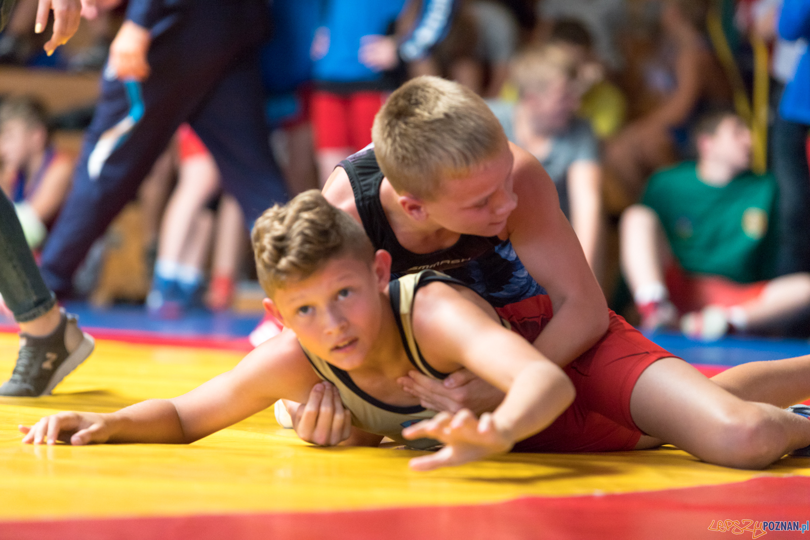 XIII Międzynarodowy Turniej Zapaśniczy
Memoriał Józefa Moczy Foto: lepszyPOZNAN.pl/Piotr Rychter XIII Międzynarodowy Turniej Zapaśniczy
Memoriał Józefa Moczy Foto: lepszyPOZNAN.pl/Piotr Rychter