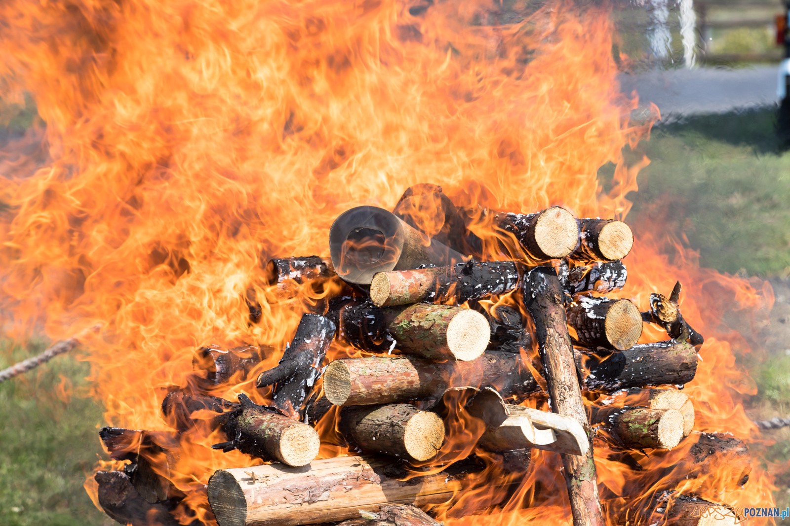 Spalenie kła Ninio Foto: lepszyPOZNAN.pl/Piotr Rychter Spalenie kła Ninio Foto: lepszyPOZNAN.pl/Piotr Rychter