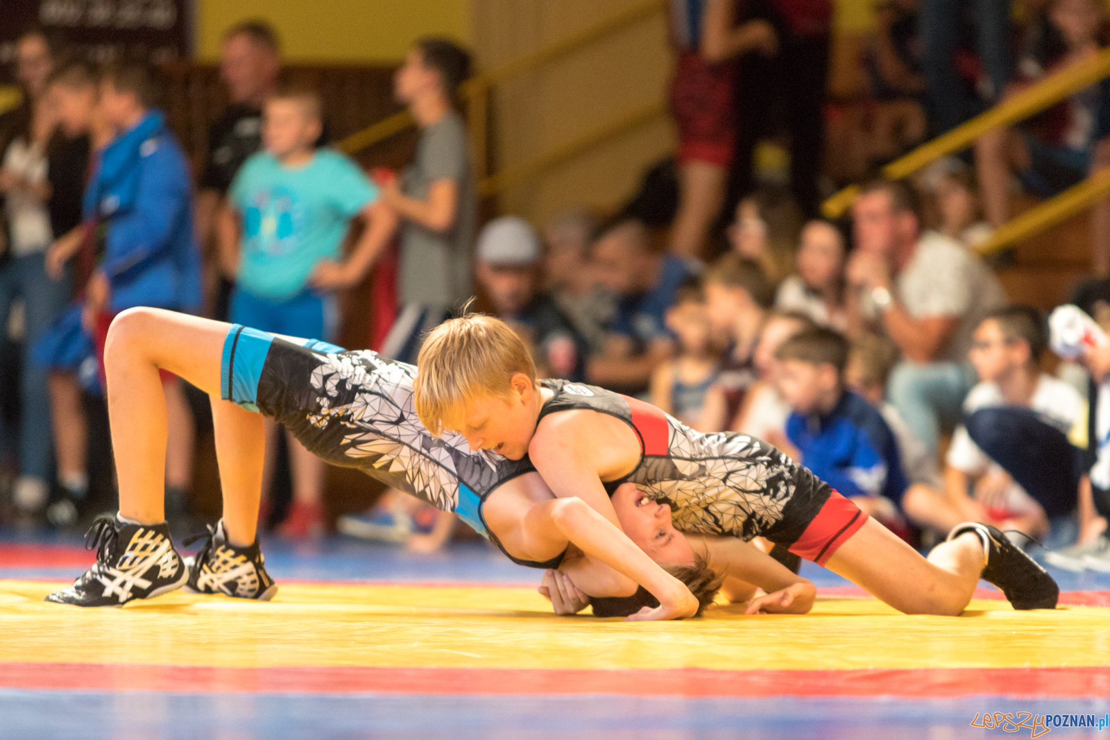 XIII Międzynarodowy Turniej Zapaśniczy
Memoriał Józefa Moczy Foto: lepszyPOZNAN.pl/Piotr Rychter XIII Międzynarodowy Turniej Zapaśniczy
Memoriał Józefa Moczy Foto: lepszyPOZNAN.pl/Piotr Rychter