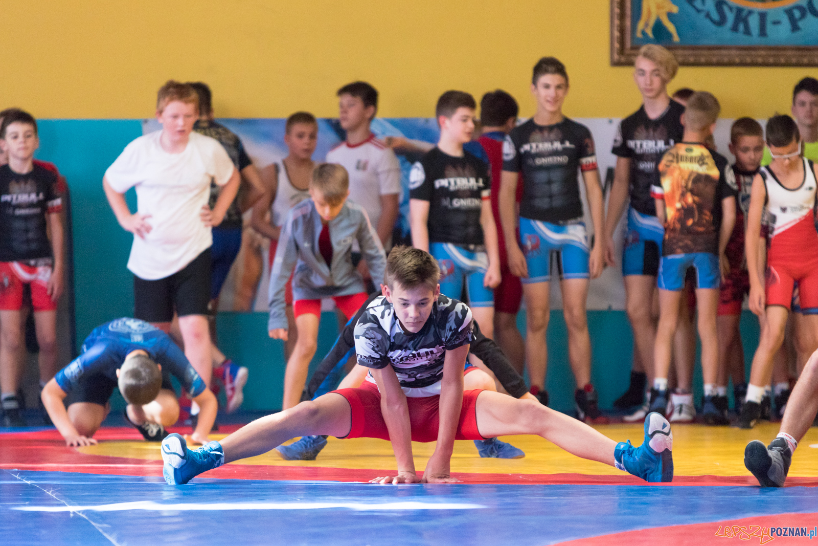 XIII Międzynarodowy Turniej Zapaśniczy
Memoriał Józefa Moczy Foto: lepszyPOZNAN.pl/Piotr Rychter XIII Międzynarodowy Turniej Zapaśniczy
Memoriał Józefa Moczy Foto: lepszyPOZNAN.pl/Piotr Rychter