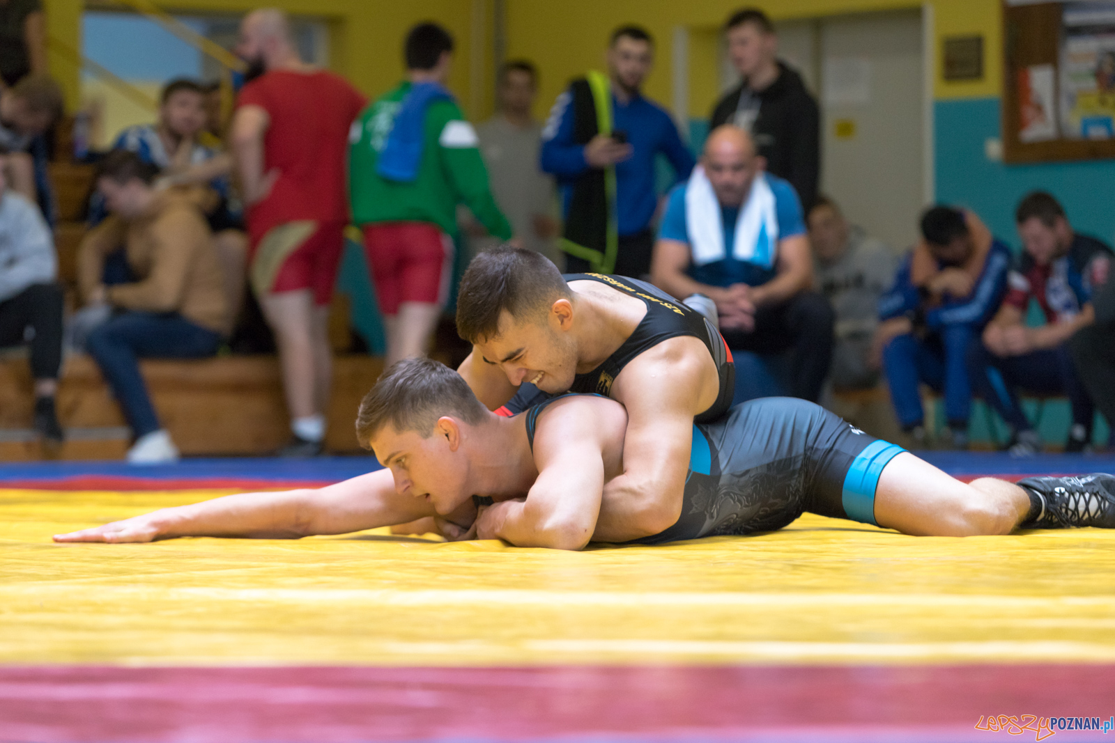 Młodzieżowe Mistrzostwa Polski Zapasy Styl Klasyczny Foto: lepszyPOZNAN.pl/Piotr Rychter Młodzieżowe Mistrzostwa Polski Zapasy Styl Klasyczny Foto: lepszyPOZNAN.pl/Piotr Rychter