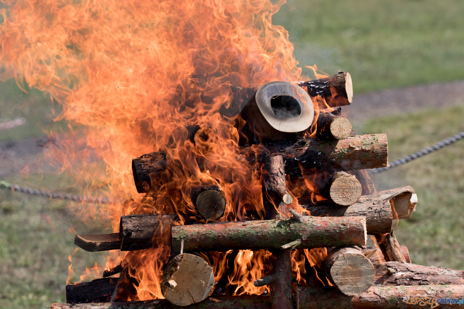 Spalenie kła słonia Ninio Foto: lepszyPOZNAN.pl / Ewelina Jaśkowiak Spalenie kła słonia Ninio Foto: lepszyPOZNAN.pl / Ewelina Jaśkowiak